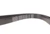 Фото Поліклиновий ремінь (6PK1245) DAYCO (6PK1245DT) зображення 4