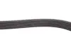 Фото Ремень генератора поликлиновый DAYCO (6PK1250HD) изображение 3