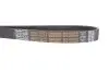 Фото Ремень генератора поликлиновый DAYCO (6PK1250HD) изображение 4