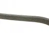 Фото Поліклиновий ремінь VOLVO 850, 960, C70 I, S70, S90 I, V70 I, V90 I, XC70 I FORD SCORPIO I, SIERRA II 2.0-2.9 11.88-10.05 DAYCO (6PK1270) зображення 2