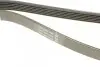 Фото Поліклиновий ремінь VOLVO 850, 960, C70 I, S70, S90 I, V70 I, V90 I, XC70 I FORD SCORPIO I, SIERRA II 2.0-2.9 11.88-10.05 DAYCO (6PK1270) зображення 3
