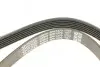 Фото Поліклиновий ремінь VOLVO 850, 960, C70 I, S70, S90 I, V70 I, V90 I, XC70 I FORD SCORPIO I, SIERRA II 2.0-2.9 11.88-10.05 DAYCO (6PK1270) зображення 4