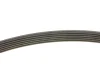 Поліклиновий ремінь OPEL ASTRA G, ASTRA G CLASSIC, ASTRA H, ASTRA H GTC, COMBO, COMBO TOUR, CORSA C, MERIVA A 1.7D 04.03 DAYCO (6PK1275) зображення 4