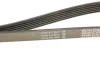 Поліклиновий ремінь OPEL ASTRA G, ASTRA G CLASSIC, ASTRA H, ASTRA H GTC, COMBO, COMBO TOUR, CORSA C, MERIVA A 1.7D 04.03 DAYCO (6PK1275) зображення 5