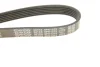 Поліклиновий ремінь OPEL ASTRA G, ASTRA G CLASSIC, ASTRA H, ASTRA H GTC, COMBO, COMBO TOUR, CORSA C, MERIVA A 1.7D 04.03 DAYCO (6PK1275) зображення 6