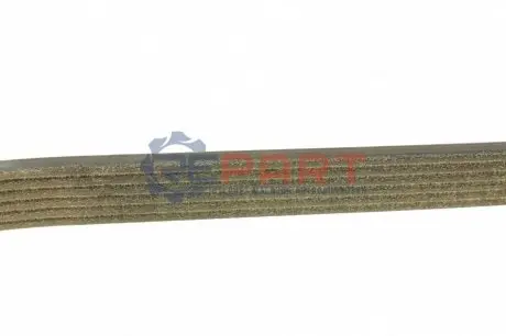 Фото 1 — Ремінь генератора Fiat Punto/Opel Combo 1.3 CDTI 05- (+AC) DAYCO (6PK1323S) Фото Ремінь генератора Fiat Punto/Opel Combo 1.3 CDTI 05- (+AC) DAYCO (6PK1323S) зображення 1