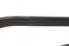 Фото Ремень генератора поликлиновый DAYCO (6PK1335) изображение 3