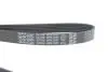 Фото Поліклиновий ремінь CHRYSLER SEBRING CITROEN BERLINGO, XSARA, XSARA PICASSO FORD FIESTA V, FUSION MAZDA 2 PEUGEOT 206, PARTNER, PARTNER ORIGIN 1.4D-2.4 04.01-12.15 DAYCO (6PK1341) зображення 4