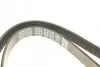 Фото Ремень генератора поликлиновый DAYCO (6PK1345) изображение 4