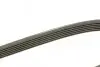 Фото Ремень генератора поликлиновый DAYCO (6PK1381) изображение 2