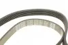 Фото Ремень генератора поликлиновый DAYCO (6PK1381) изображение 4