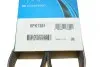 Фото Ремень генератора поликлиновый DAYCO (6PK1381) изображение 6