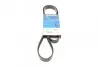 Ремінь генератора Ford Transit Connect 02-13/Focus 1.8 TDCi 99-05/Toyota Avensis 03-12/Corolla 01-07 6PK1415
