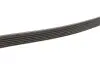 Фото Поліклиновий ремінь CHRYSLER NEON II FORD FIESTA, FIESTA IV, KA MAZDA 121 III MITSUBISHI LANCER VII OPEL ASTRA J, ASTRA J GTC, MOKKA / MOKKA X, ZAFIRA C ROVER 200 1.3-2.0D 09.91 DAYCO (6PK1450) зображення 2
