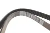 Фото Поліклиновий ремінь CHRYSLER NEON II FORD FIESTA, FIESTA IV, KA MAZDA 121 III MITSUBISHI LANCER VII OPEL ASTRA J, ASTRA J GTC, MOKKA / MOKKA X, ZAFIRA C ROVER 200 1.3-2.0D 09.91 DAYCO (6PK1450) зображення 3