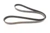 Фото Поліклиновий ремінь CHRYSLER NEON II FORD FIESTA, FIESTA IV, KA MAZDA 121 III MITSUBISHI LANCER VII OPEL ASTRA J, ASTRA J GTC, MOKKA / MOKKA X, ZAFIRA C ROVER 200 1.3-2.0D 09.91 DAYCO (6PK1450) зображення 4
