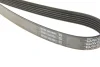 Фото Поліклиновий ремінь FORD TOURNEO CONNECT, TRANSIT CONNECT 1.8D 06.02-12.13 DAYCO (6PK1460) зображення 4