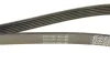 Фото Ремінь генератора Fiat Ducato 2.0JTD 01- (ALT, AC) DAYCO (6PK1468HD) зображення 6