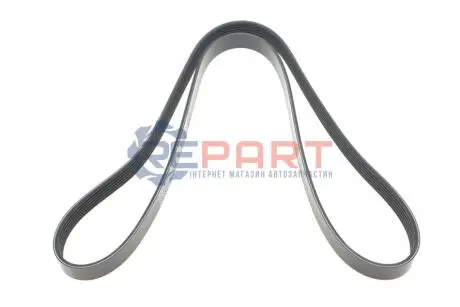 Фото Ремінь генератора Mitsubishi ASX/Lancer 1.8 DI-D 10- DAYCO (6PK1485) зображення 1