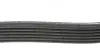 Поліклиновий ремінь (6PK1555) AUDI A4 ALLROAD B8, A4 B6, A4 B7, A4 B8, A5, A6 C6, Q5 SEAT EXEO, EXEO ST SKODA FABIA I, FABIA I PRAKTIK, FABIA II, OCTAVIA II, RAPID, ROOMSTER 1.2D-2.0D 11.99 DAYCO (6PK1555S) зображення 2
