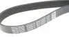 Поліклиновий ремінь (6PK1555) AUDI A4 ALLROAD B8, A4 B6, A4 B7, A4 B8, A5, A6 C6, Q5 SEAT EXEO, EXEO ST SKODA FABIA I, FABIA I PRAKTIK, FABIA II, OCTAVIA II, RAPID, ROOMSTER 1.2D-2.0D 11.99 DAYCO (6PK1555S) зображення 4