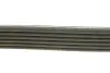 Фото Дорожный пас DAYCO (6PK1558) изображение 2