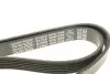 Фото Дорожный пас DAYCO (6PK1558) изображение 4