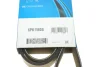 Поліклиновий ремінь (6PK1580) ALFA ROMEO 159, BRERA, SPIDER AUDI A4 ALLROAD B8, A4 B8, A5, A6 C6, Q5 DAIHATSU MATERIA, SIRION, TERIOS FORD USA FUSION KIA CARNIVAL I, CARNIVAL II 1.2D-3.0D 08.99 DAYCO (6PK1580S) зображення 7