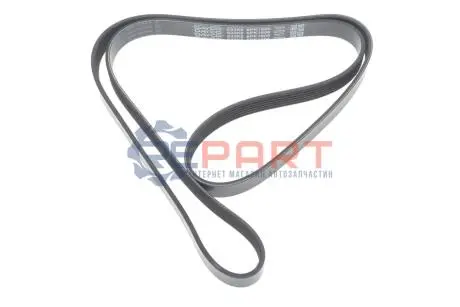 Фото 1 — Дорожный пас DAYCO (6PK1606) Фото Дорожный пас DAYCO (6PK1606) изображение 1