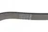 Фото Ремень генератора поликлиновый DAYCO (6PK1610HD) изображение 3