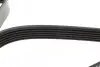 Фото Ремень генератора поликлиновый DAYCO (6PK1610HD) изображение 4