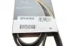 Фото Ремень генератора поликлиновый DAYCO (6PK1610HD) изображение 6