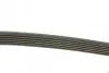 Фото Поліклиновий ремінь VOLVO S40 I, V40 AUDI A3, A4 B6, A4 B7, A6 C6, A8 D3, A8 D4, Q7, TT FIAT REGATA, RITMO FORD FIESTA, FIESTA IV OPEL ASTRA H, ASTRA H GTC, CORSA D 1.2D-4.2D 12.85 DAYCO (6PK1613) зображення 2