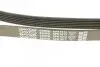 Фото Поліклиновий ремінь VOLVO S40 I, V40 AUDI A3, A4 B6, A4 B7, A6 C6, A8 D3, A8 D4, Q7, TT FIAT REGATA, RITMO FORD FIESTA, FIESTA IV OPEL ASTRA H, ASTRA H GTC, CORSA D 1.2D-4.2D 12.85 DAYCO (6PK1613) зображення 4