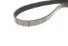 Фото Поліклиновий ремінь CITROEN XANTIA, XM FIAT PALIO, SIENA FORD ESCORT V, ESCORT VI, ORION III, SCORPIO II, TRANSIT RENAULT CLIO II, ESPACE III, LAGUNA I, MEGANE I 1.5-3.6 05.91 DAYCO (6PK1650) зображення 2