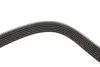 Фото Поліклиновий ремінь CITROEN XANTIA, XM FIAT PALIO, SIENA FORD ESCORT V, ESCORT VI, ORION III, SCORPIO II, TRANSIT RENAULT CLIO II, ESPACE III, LAGUNA I, MEGANE I 1.5-3.6 05.91 DAYCO (6PK1650) зображення 3
