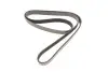 Фото Поліклиновий ремінь CITROEN XANTIA, XM FIAT PALIO, SIENA FORD ESCORT V, ESCORT VI, ORION III, SCORPIO II, TRANSIT RENAULT CLIO II, ESPACE III, LAGUNA I, MEGANE I 1.5-3.6 05.91 DAYCO (6PK1650) зображення 4