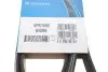 Фото Поліклиновий ремінь CITROEN XANTIA, XM FIAT PALIO, SIENA FORD ESCORT V, ESCORT VI, ORION III, SCORPIO II, TRANSIT RENAULT CLIO II, ESPACE III, LAGUNA I, MEGANE I 1.5-3.6 05.91 DAYCO (6PK1650) зображення 5