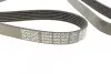 Фото Поліклиновий ремінь CITROEN JUMPER III, NEMO FIAT DOBLO, DOBLO CARGO, DUCATO, FIORINO, LINEA, QUBO, STRADA FORD TRANSIT, TRANSIT TOURNEO HYUNDAI IX35 JAGUAR XF I 1.3D-2.4D 10.01 DAYCO (6PK1670) зображення 2
