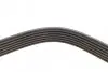 Фото Поліклиновий ремінь CITROEN JUMPER III, NEMO FIAT DOBLO, DOBLO CARGO, DUCATO, FIORINO, LINEA, QUBO, STRADA FORD TRANSIT, TRANSIT TOURNEO HYUNDAI IX35 JAGUAR XF I 1.3D-2.4D 10.01 DAYCO (6PK1670) зображення 4