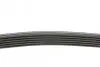 Фото Поліклиновий ремінь VOLVO S40 I, S90 I, V40, V90 I FORD SCORPIO II VW CORRADO 1.6-2.9 09.88-12.03 DAYCO (6PK1755) зображення 2