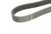 Фото Поліклиновий ремінь VOLVO S40 I, S90 I, V40, V90 I FORD SCORPIO II VW CORRADO 1.6-2.9 09.88-12.03 DAYCO (6PK1755) зображення 3