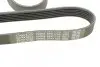 Фото Поліклиновий ремінь VOLVO S40 I, S90 I, V40, V90 I FORD SCORPIO II VW CORRADO 1.6-2.9 09.88-12.03 DAYCO (6PK1755) зображення 4
