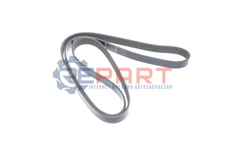 Фото 1 — Ремень поликлиновый (Выр-во) DAYCO (6PK1782S) Фото Ремень поликлиновый (Выр-во) DAYCO (6PK1782S) изображение 1