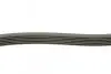 Ремень генератора поликлиновый DAYCO (6PK1795) изображение 2