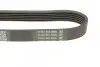 Ремень генератора поликлиновый DAYCO (6PK1795) изображение 3