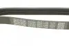 Ремень генератора поликлиновый DAYCO (6PK1795) изображение 4