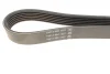 Ремень генератора поликлиновый DAYCO (6PK1805K) изображение 2
