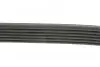 Фото Ремень генератора поликлиновый DAYCO (6PK1815) изображение 6