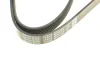 Поліклиновий ремінь FORD COURIER, FOCUS I 1.4/1.6/1.6ALK 10.98-12.11 DAYCO (6PK1915) зображення 4